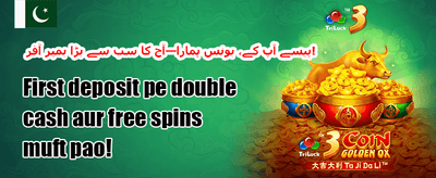 میگا اسلاٹس فری اسپنز promotion